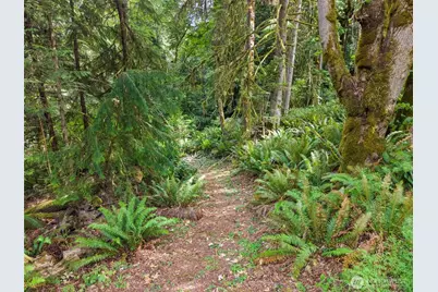 12611 194th Ave NW, Gig Harbor, WA 98329 - Photo 19
