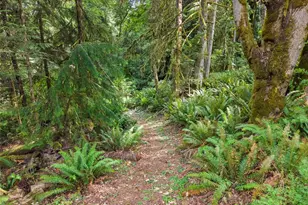 12611 194th Ave NW, Gig Harbor, WA 98329 - Photo 19