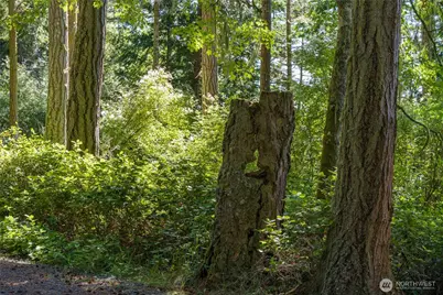 304 Frances Lane, Lopez Island, WA 98261 - Photo 29