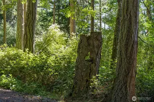 304 Frances Ln, Lopez Island, WA 98261 - Photo 29