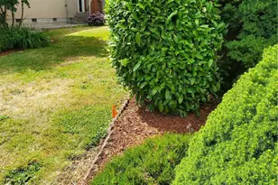 201 W Oakview, Centralia, WA 98531 - Photo 3