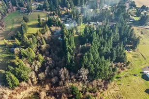 3115 & 3119 Zenkner Valley Road SW, Centralia, WA 98531 - Photo 37