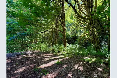 23501 N US Highway 101, Hoodsport, WA 98548 - Photo 11