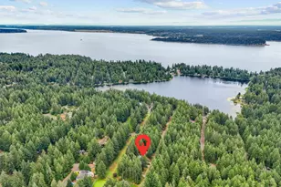 11319 Country Club Dr, Anderson Island, WA 98303 - Photo 39