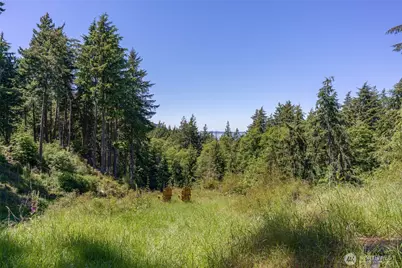 23 Tsuga Lane, Orcas Island, WA 98279 - Photo 1