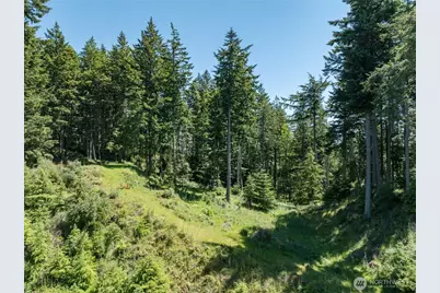 23 Tsuga Lane, Orcas Island, WA 98279 - Photo 7