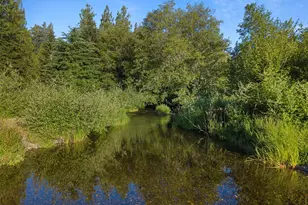 1052 E Mason Lake Dr W, Grapeview, WA 98546 - Photo 17