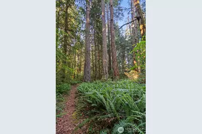 1052 E Mason Lake Drive W, Grapeview, WA 98546 - Photo 25