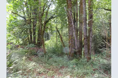 0 Lot 11 Valley View Drive, Mossyrock, WA 98564 - Photo 9