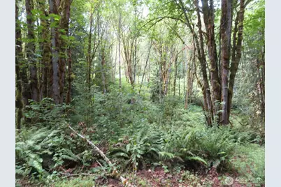 0 Lot 11 Valley View Drive, Mossyrock, WA 98564 - Photo 3