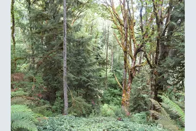 0 Lot 11 Valley View Drive, Mossyrock, WA 98564 - Photo 11