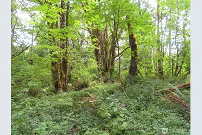 0 Lot 11 Valley View Drive, Mossyrock, WA 98564 - Photo 5