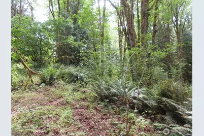 0 Lot 11 Valley View Drive, Mossyrock, WA 98564 - Photo 15