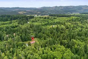 109 Tillie Rd, Onalaska, WA 98570 - Photo 33