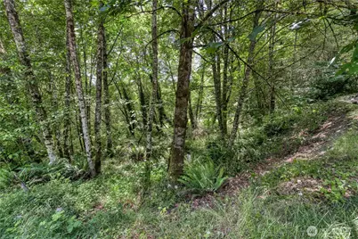 10611 33rd Avenue Ct NW, Gig Harbor, WA 98332 - Photo 15