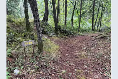 230 Serendipity Lane, Orcas Island, WA 98243 - Photo 31