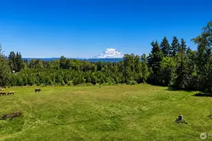 28419 132nd Ave E, Graham, WA 98338 - Photo 31
