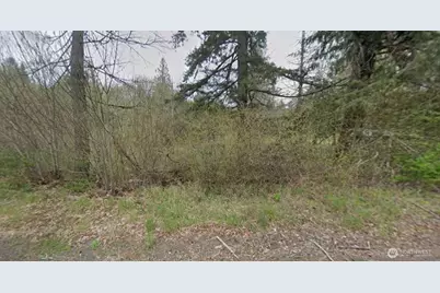 5 W Xxx Cloquallum Road, Shelton, WA 98584 - Photo 3