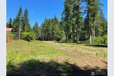 0 Xx Lynch Road, McCleary, WA 98557 - Photo 3