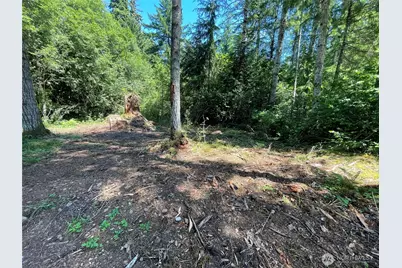 0 Xx Lynch Road, McCleary, WA 98557 - Photo 7