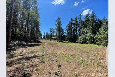 0 Xx Lynch Road, McCleary, WA 98557 - Photo 5