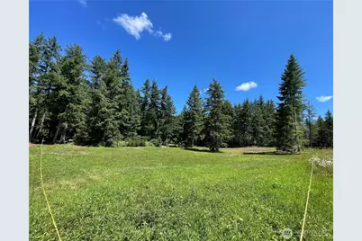 0 Xx Lynch Road, McCleary, WA 98557 - Photo 11