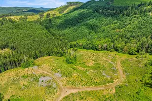0 Holcomb Rd Lot E, Kelso, WA 98626 - Photo 1