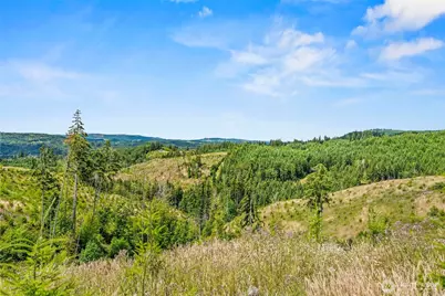 0 Lot E Holcomb Road, Kelso, WA 98626 - Photo 7