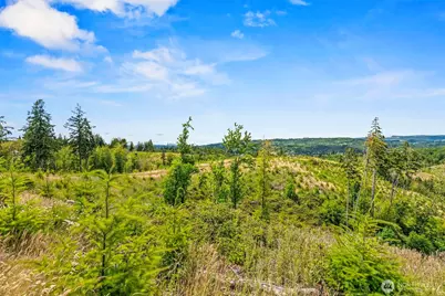 0 Lot C Holcomb Road, Kelso, WA 98626 - Photo 3