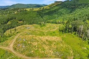 0 Holcomb Rd Lot C, Kelso, WA 98626 - Photo 1
