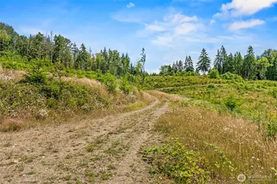 0 Lot D Holcomb Road, Kelso, WA 98632 - Photo 9