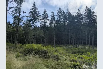 0 Maxwelton Road, Langley, WA 98260 - Photo 11