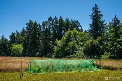 866 Cherry Tree Lane, Lopez Island, WA 98261 - Photo 25