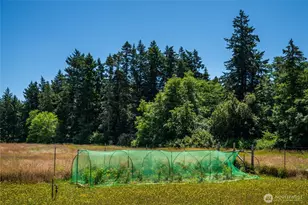 866 Cherry Tree Ln, Lopez Island, WA 98261 - Photo 25