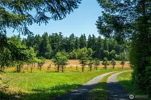 866 Cherry Tree Ln, Lopez Island, WA 98261 - Photo 29