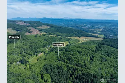 461 Kjesbu Road, Silver Creek, WA 98585 - Photo 13