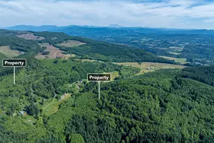 461 Kjesbu Rd, Silver Creek, WA 98585 - Photo 13