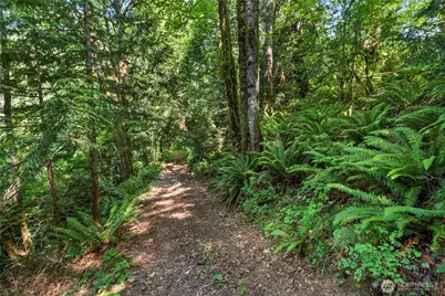 223 Porter Creek Road, Elma, WA 98541 - Photo 33