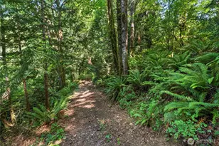 223 Porter Creek Rd, Elma, WA 98541 - Photo 33