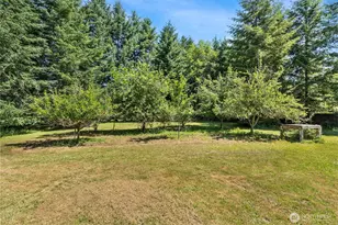 223 Porter Creek Rd, Elma, WA 98541 - Photo 31