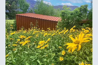 63 Chechaquo Ranch Road, Mazama, WA 98833 - Photo 3