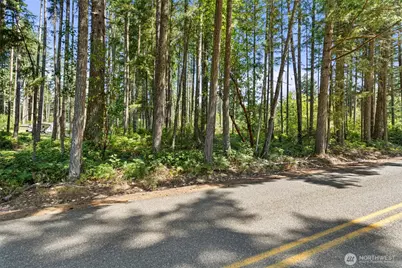 1030 E Phillips Lake Road, Shelton, WA 98584 - Photo 3
