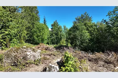 45028 Baker Lake Road, Concrete, WA 98237 - Photo 17