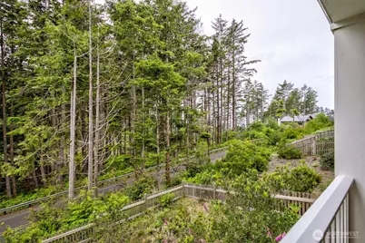 56 Hidden Cove Loop, Pacific Beach, WA 98571 - Photo 25