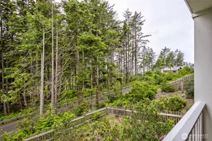 56 Hidden Cove Loop, Pacific Beach, WA 98571 - Photo 25