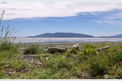 3919 Cliffside Drive, Bellingham, WA 98225 - Photo 39