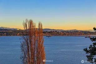 4105 55th Ave NE, Seattle, WA 98105 - Photo 19