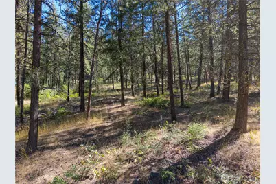16 Highland Meadow Road, Winthrop, WA 98862 - Photo 9