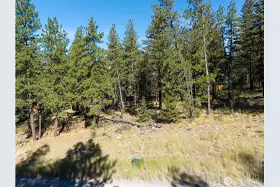 16 Highland Meadow Road, Winthrop, WA 98862 - Photo 3
