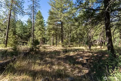 16 Highland Meadow Road, Winthrop, WA 98862 - Photo 15